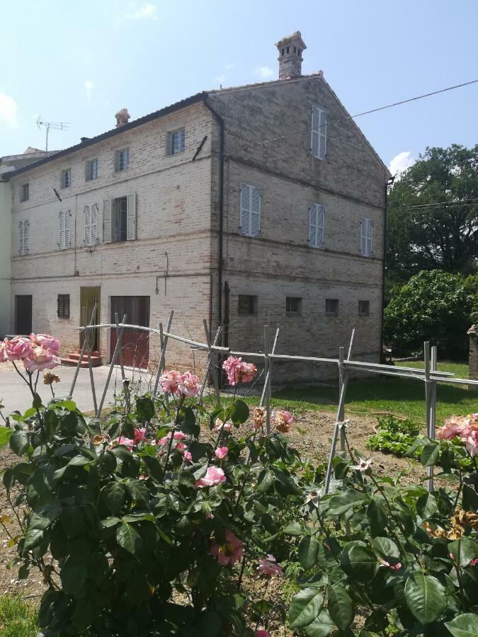 Casa Vacanze Da Peppa Grottazzolina Exterior photo